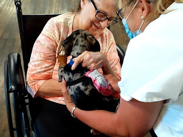 Edgewood Helena Senior Living